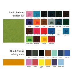 Porte carte grise en cuir