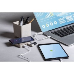 Porte-Crayons Multifonction en paille de blé