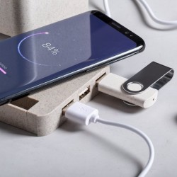 Porte-Crayons Multifonction en paille de blé