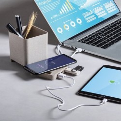 Porte-Crayons Multifonction en paille de blé