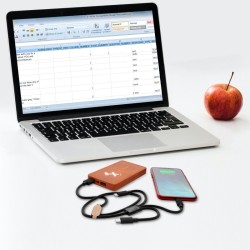 Powerbank 100% wood wireless (Import)