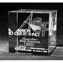 Presse-papier en verre  rectangle avec gravure laser 3d