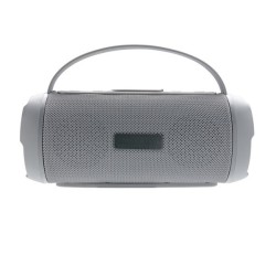 Enceinte étanche 6w soundboom