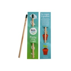 Crayon à papier à planter avec capsule de graines