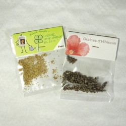 Sachet de graines transparent