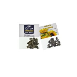 Sachet de graines transparent