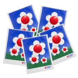 Sachet de graines 60x80 mm