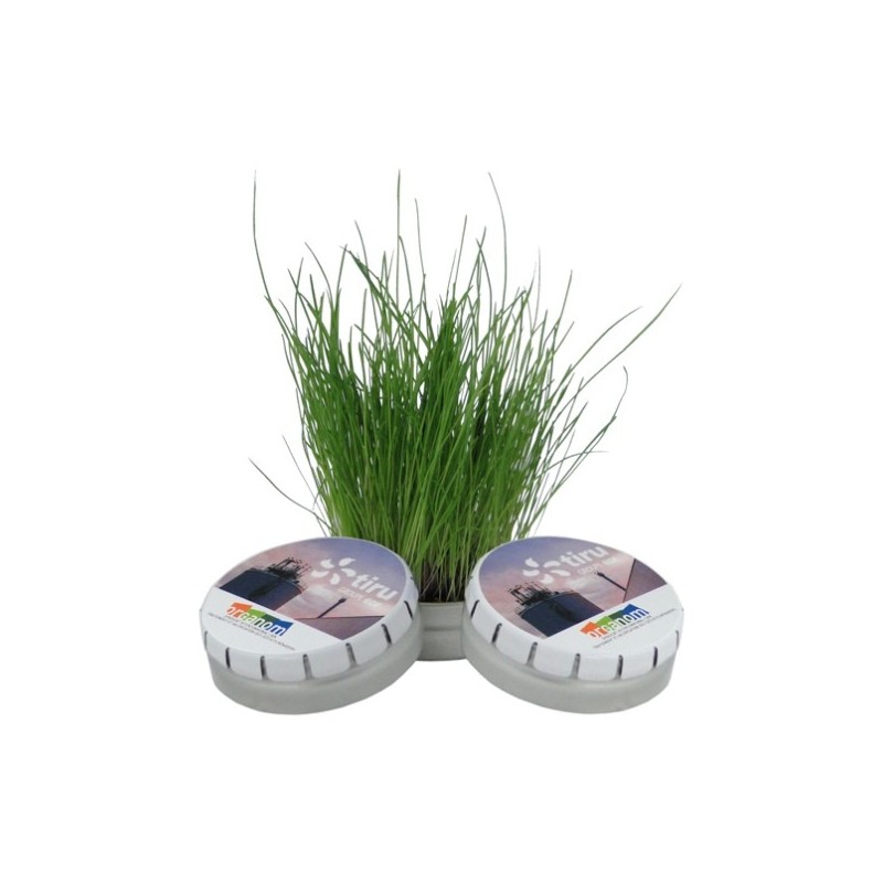 Boîte à graines clic-clac