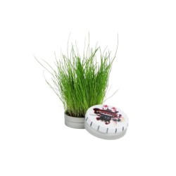 Boîte à graines clic-clac