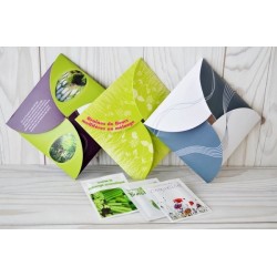 Carte écologie avec graines