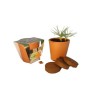 Set de plantation - pot en terre cuite 10cm
