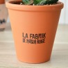 Set de plantation - pot en terre cuite 10cm