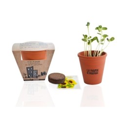 Set de plantation - pot en terre cuite 10cm