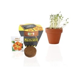 Set de plantation - pot en terre cuite 10cm