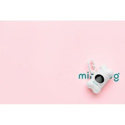 Distributeur de sacs à déjection canine