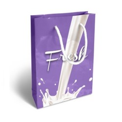 Petit sac en papier luxe 18 x 23 x 8 cm