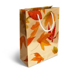 Sac en Papier épais couché mat 170 g/m² 23x32x10cm