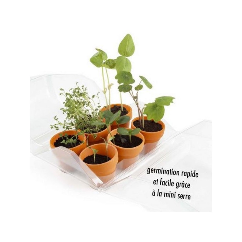 Mini Serre plastique recyclé- Mon premier Jardin
