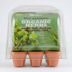 Serre 6 pots plantes aromatiques bio