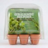 Serre 6 pots plantes aromatiques bio