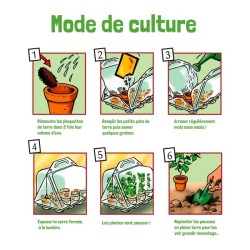 Serre 6 pots plantes aromatiques bio