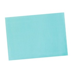 Set de table en papier couleur (le mille)