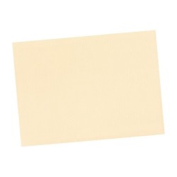 Set de table en papier couleur (le mille)