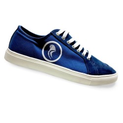 Paire de baskets vintage