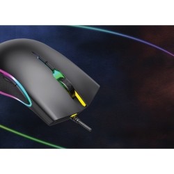 Souris d'ordinateur gaming RGB