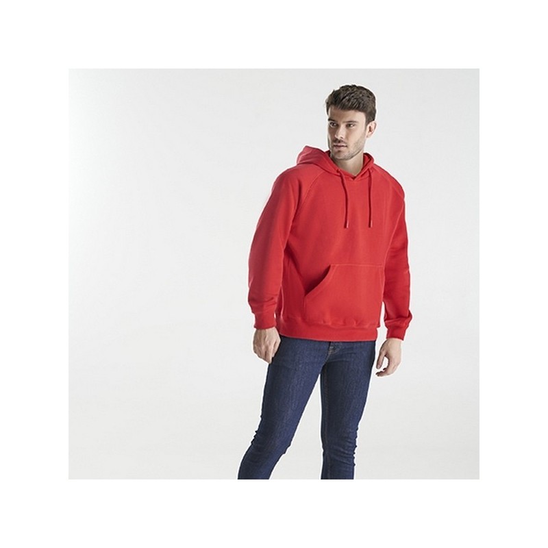 VINSON - Sweat à capuche unisexe en coton biologique peigné et polyester recyclé