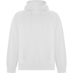 VINSON - Sweat à capuche unisexe en coton biologique peigné et polyester recyclé