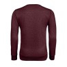 Sweat-shirt unisexe tendance - sully