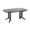 Table de jardin 165cm