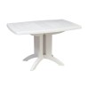 Table de jardin pliante