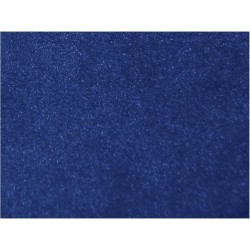 Tapis d'accueil standard - format 80x120cm