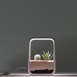 Jardin d'intérieur lumineux