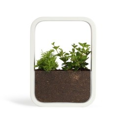 Jardin d'intérieur lumineux