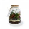 Terrarium tropical confort