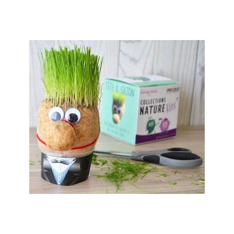 Tête en herbe - cube quadri