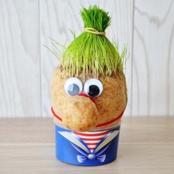 Tête en herbe - cube quadri