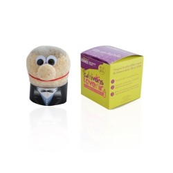 Tête en herbe - cube quadri