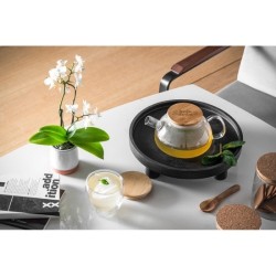 Théière en verre de 750 ml