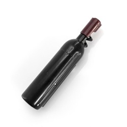 Tire-bouchon bouteille de vin