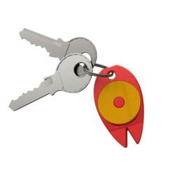 Porte-clés Carte à tiques