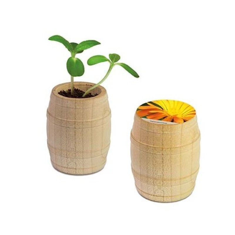 Mini-tonneau en bois - Souci