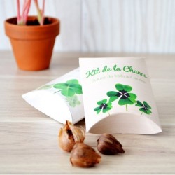 Berlingot trèfle à 4 feuilles