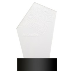 Trophée lumineux sur-mesure