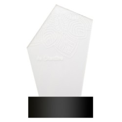 Trophée lumineux sur-mesure