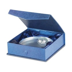 Trophée globe en verre