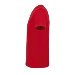 T-shirt doux ajusté martin